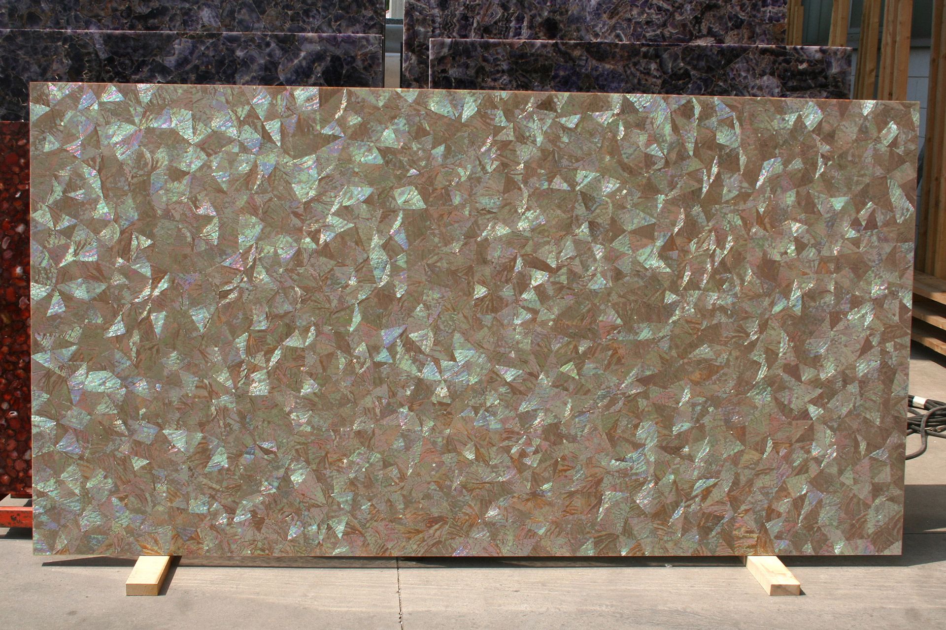 Caramel Abalone 3D