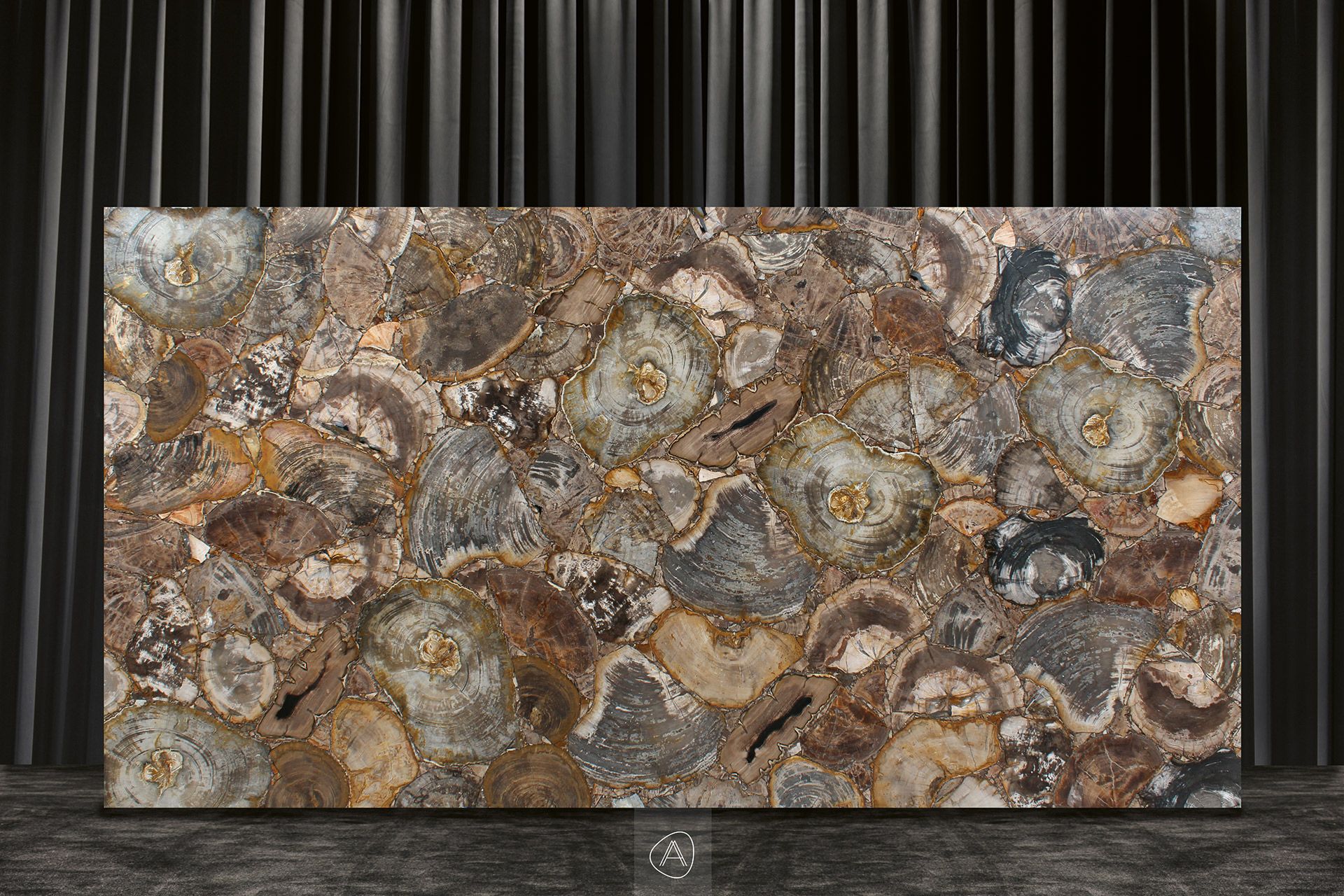 Fancy Light Petrified Wood