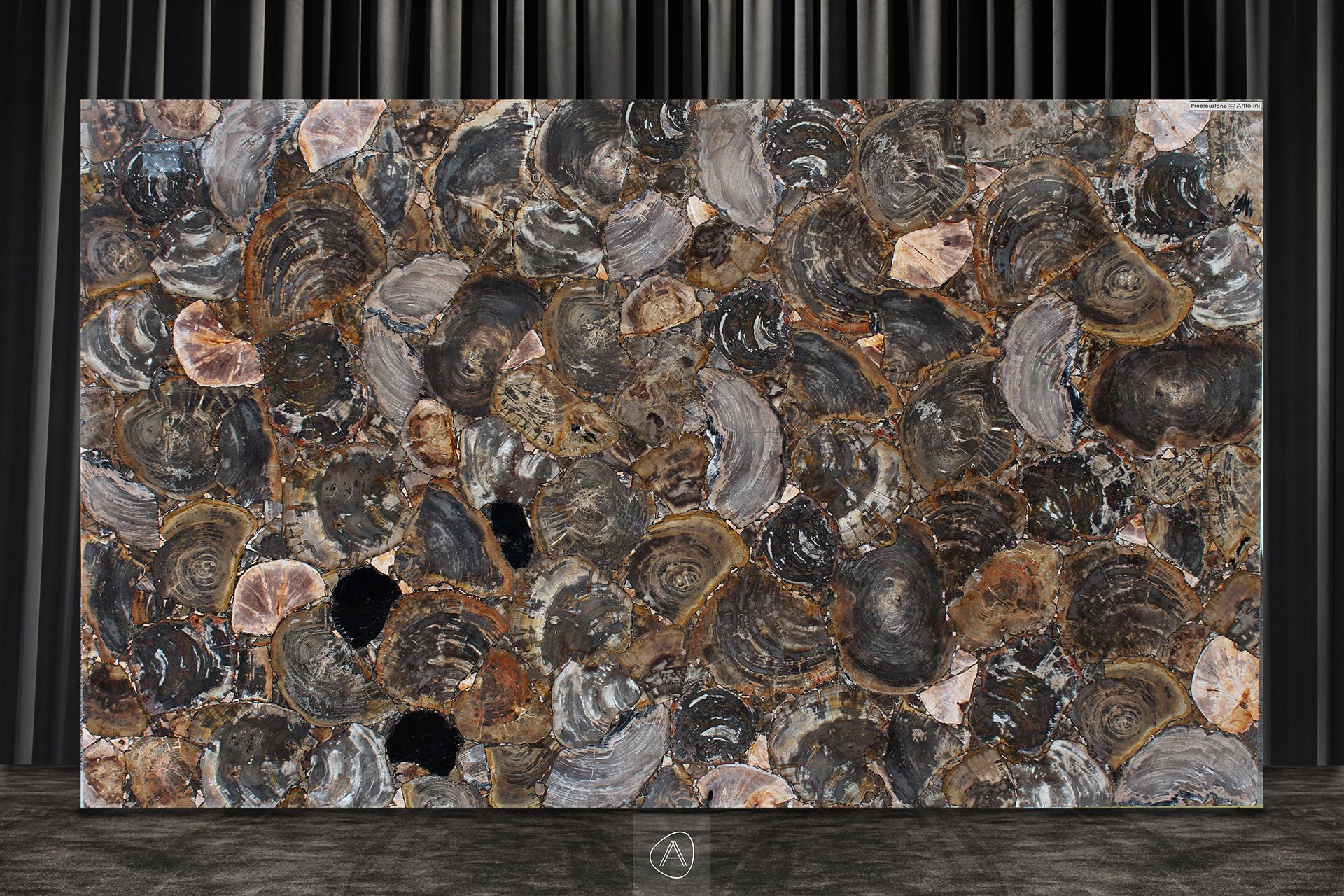 Fancy Petrified Wood Jumbo