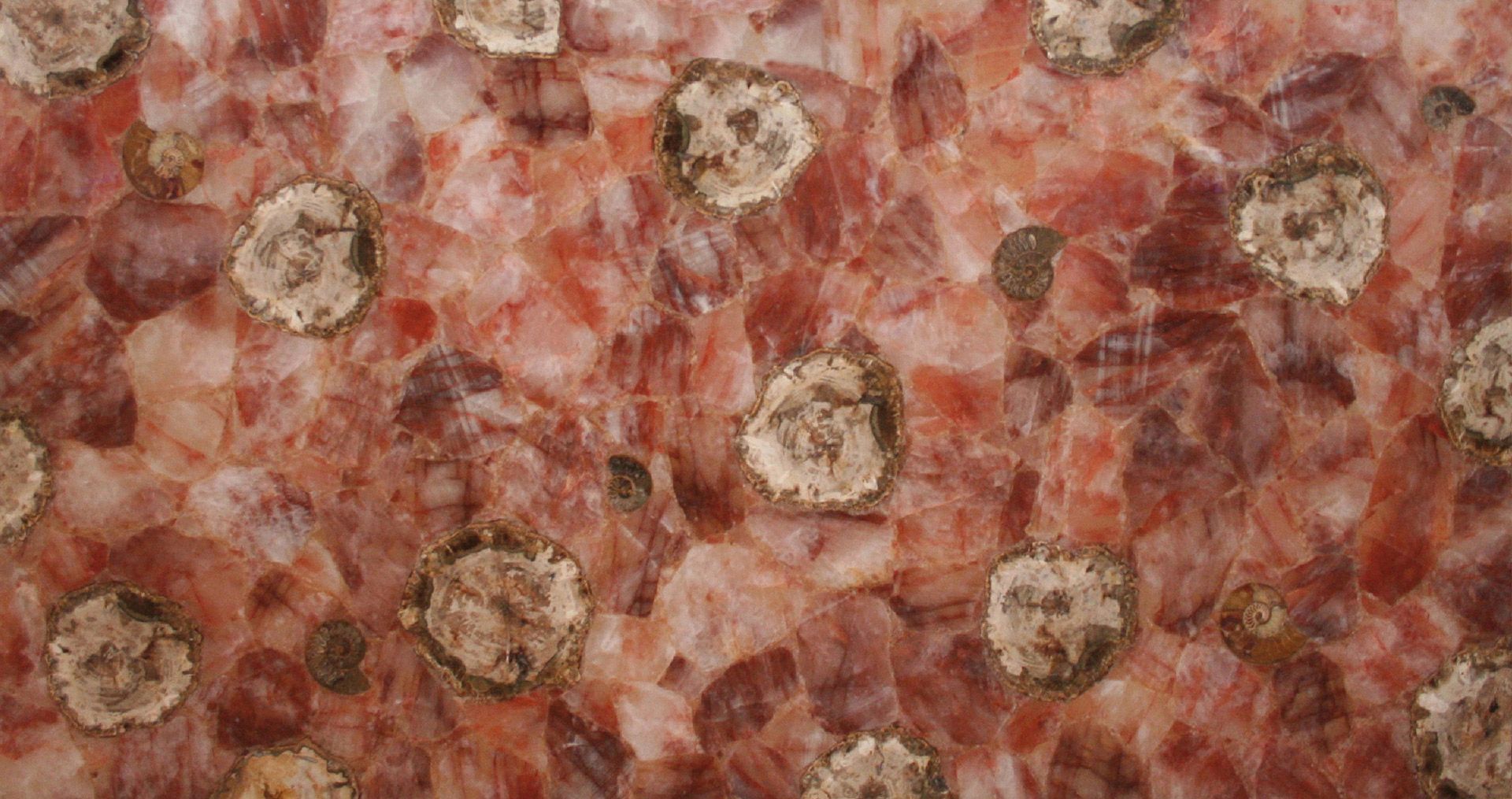Fossilized Haematoid Quartz