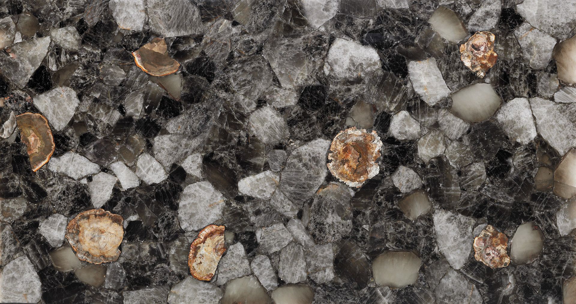Fossilized Smoky Quartz