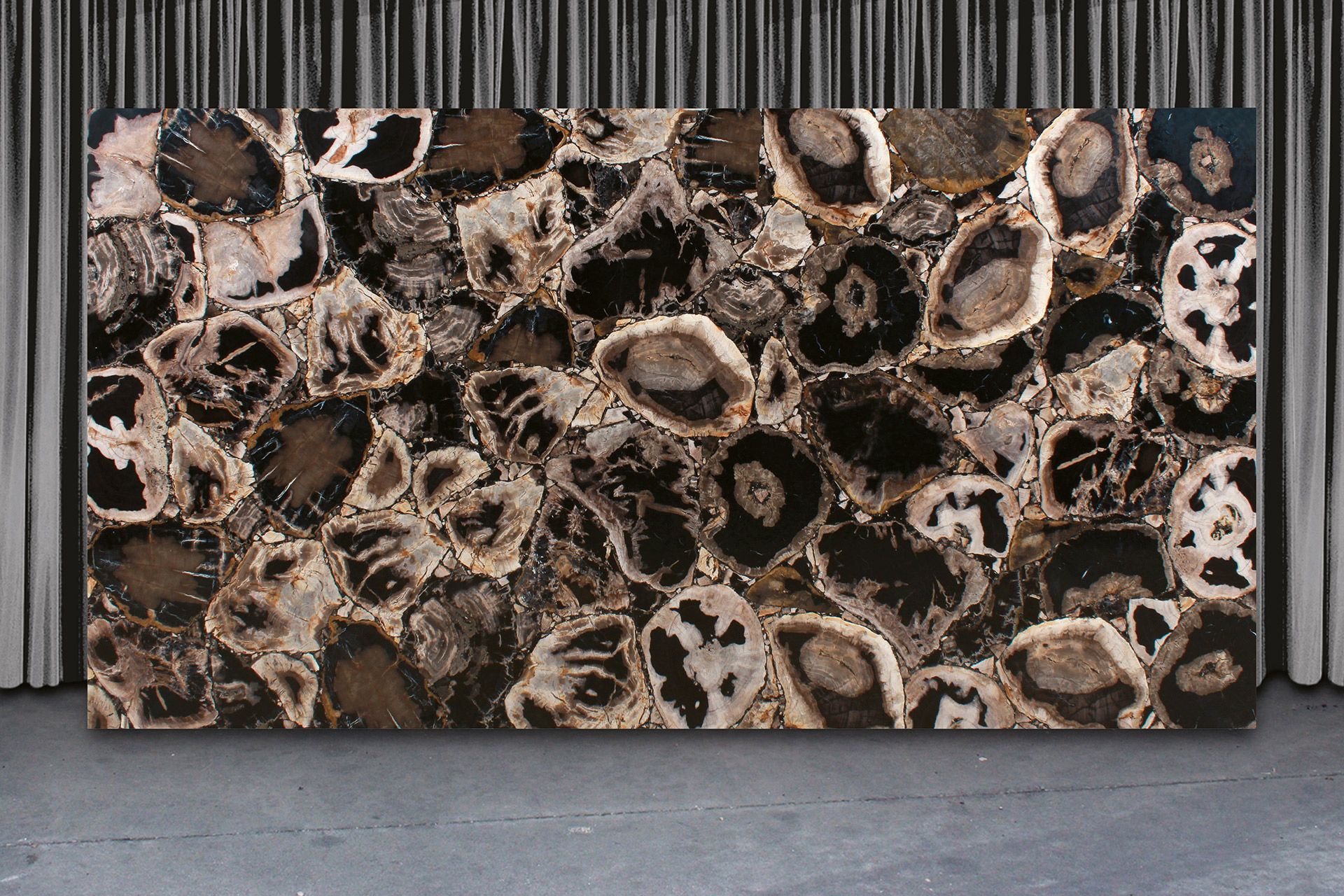 Fancy Black Petrified Wood