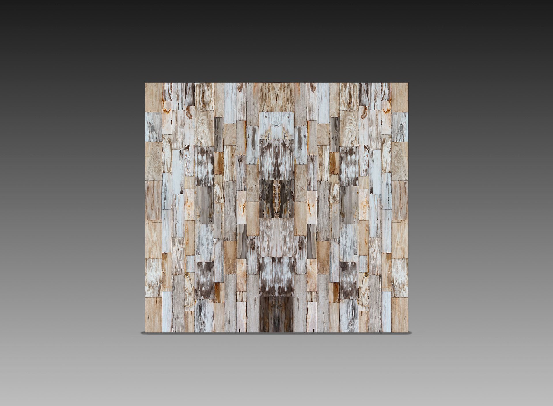 Geo Fancy Petrified Wood Large Atwinlight
