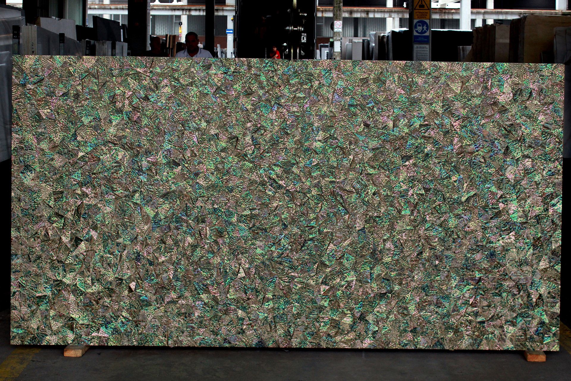 Green Abalone 3D