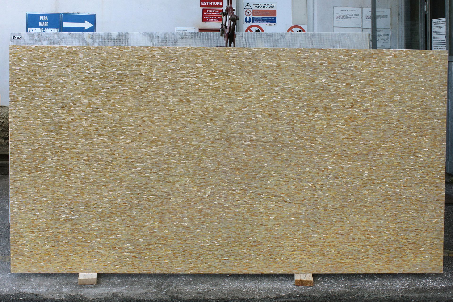 Golden Mother Of Pearl Small