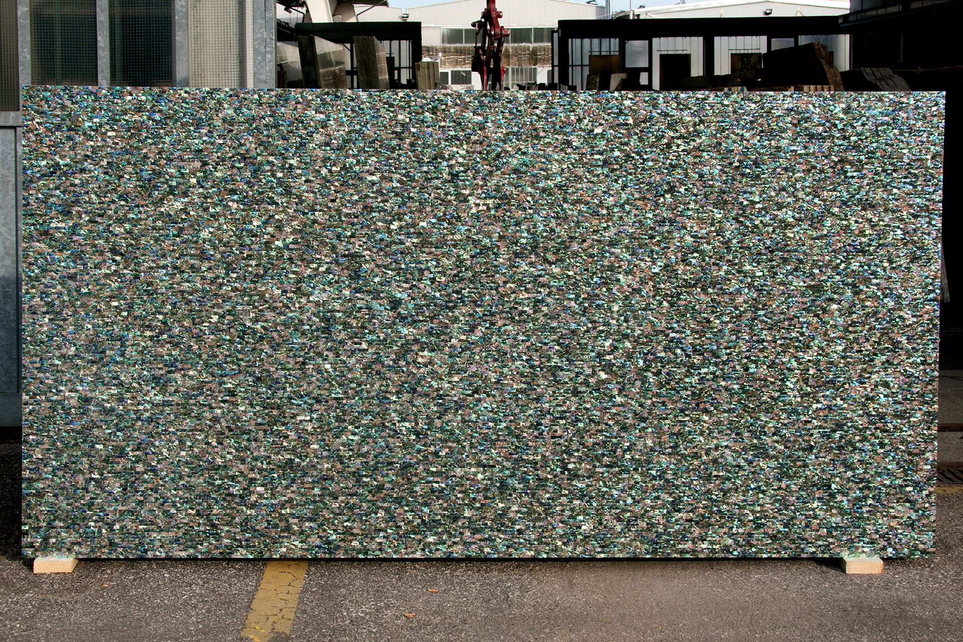 Green Abalone Large