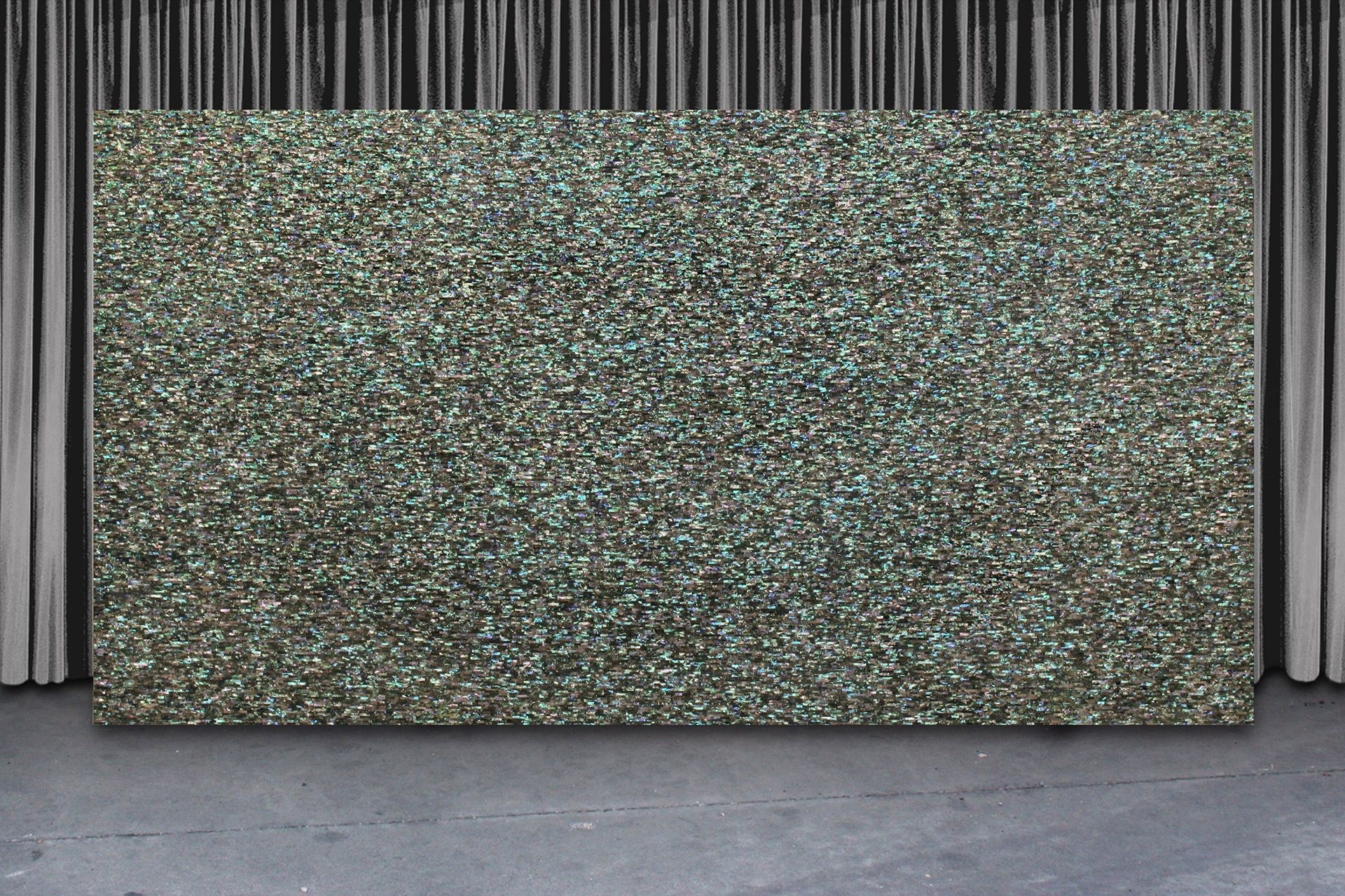 Green-Abalone--SMALL