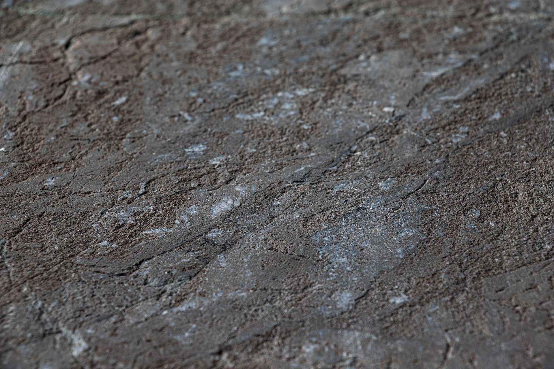 Quarzite Madeirus Super Hydro Finish