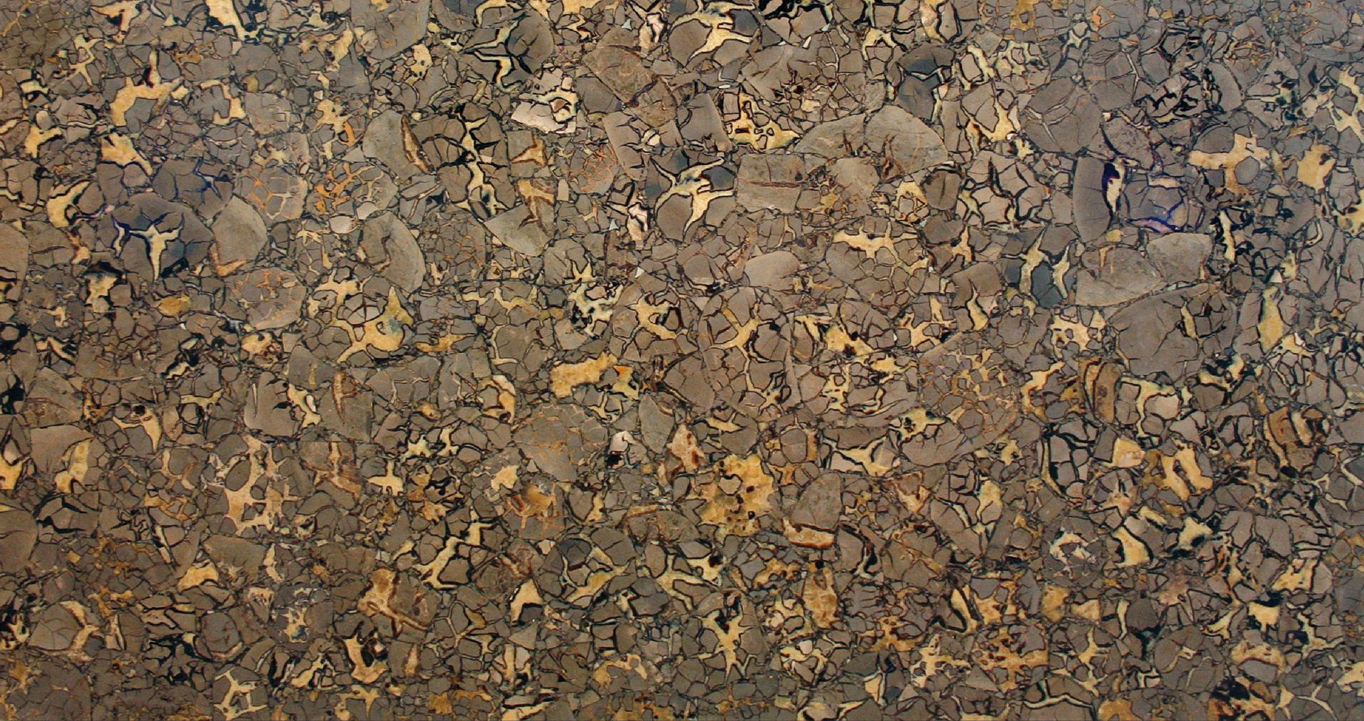 Septaria