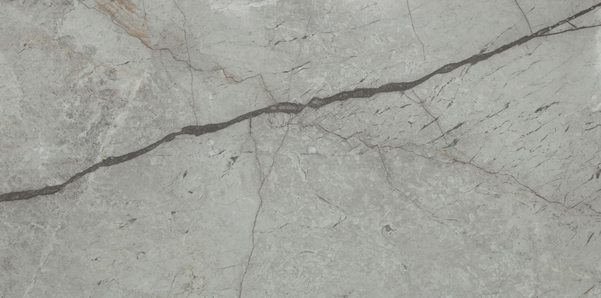 Silver Roots Tech CU