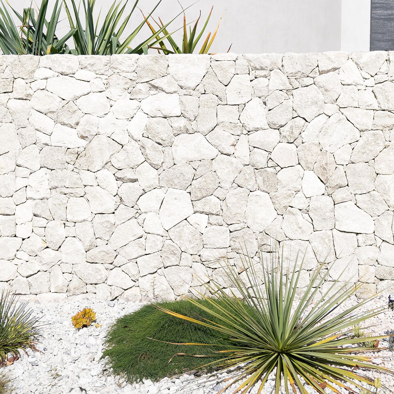 A stone wall made of pale, irregular rocks sits behind a garden with spiky succulents and low green plants.