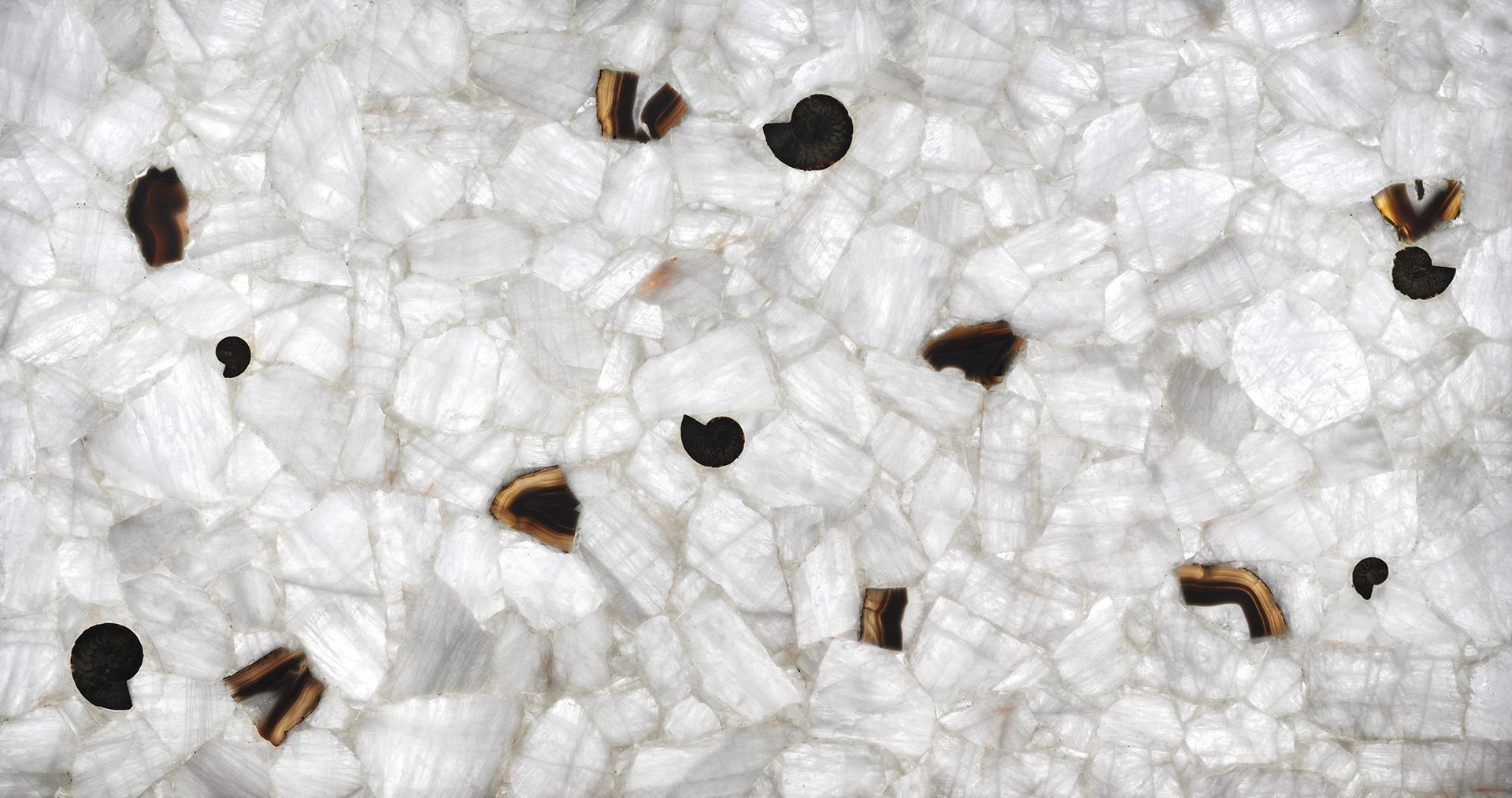 Wild Quartz Backlit