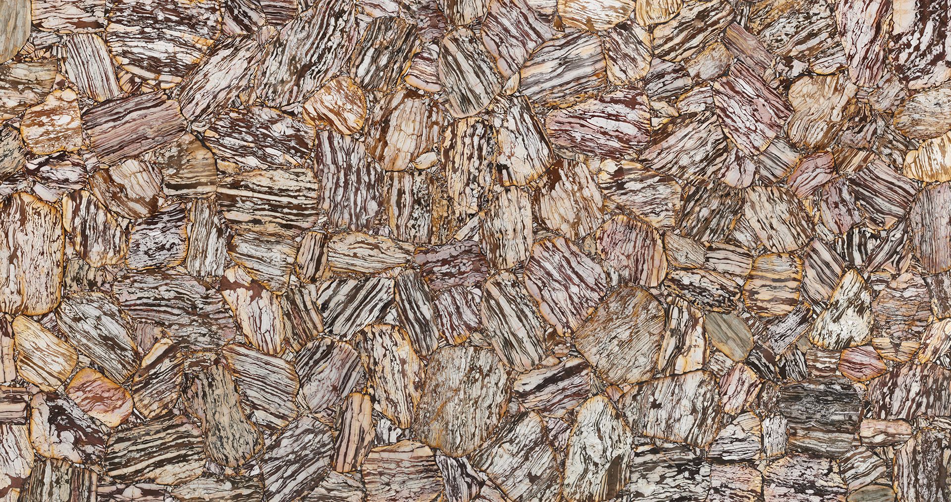 Zebra Jasper
