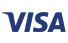 A close up of a visa logo on a white background.