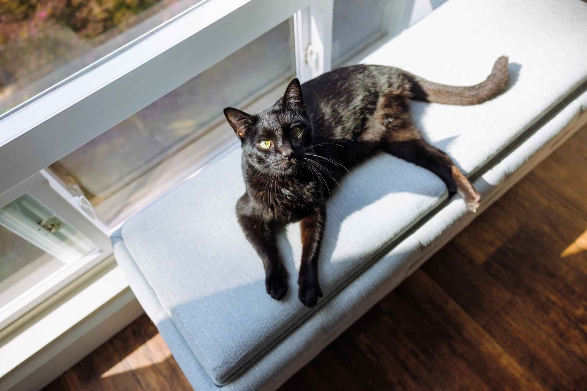 A black cat is laying on a window sill.