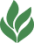 Leaf Icon
