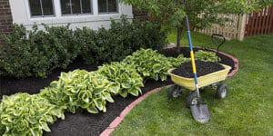 Planting Glenelg, MD Planting Glenelg, MD
