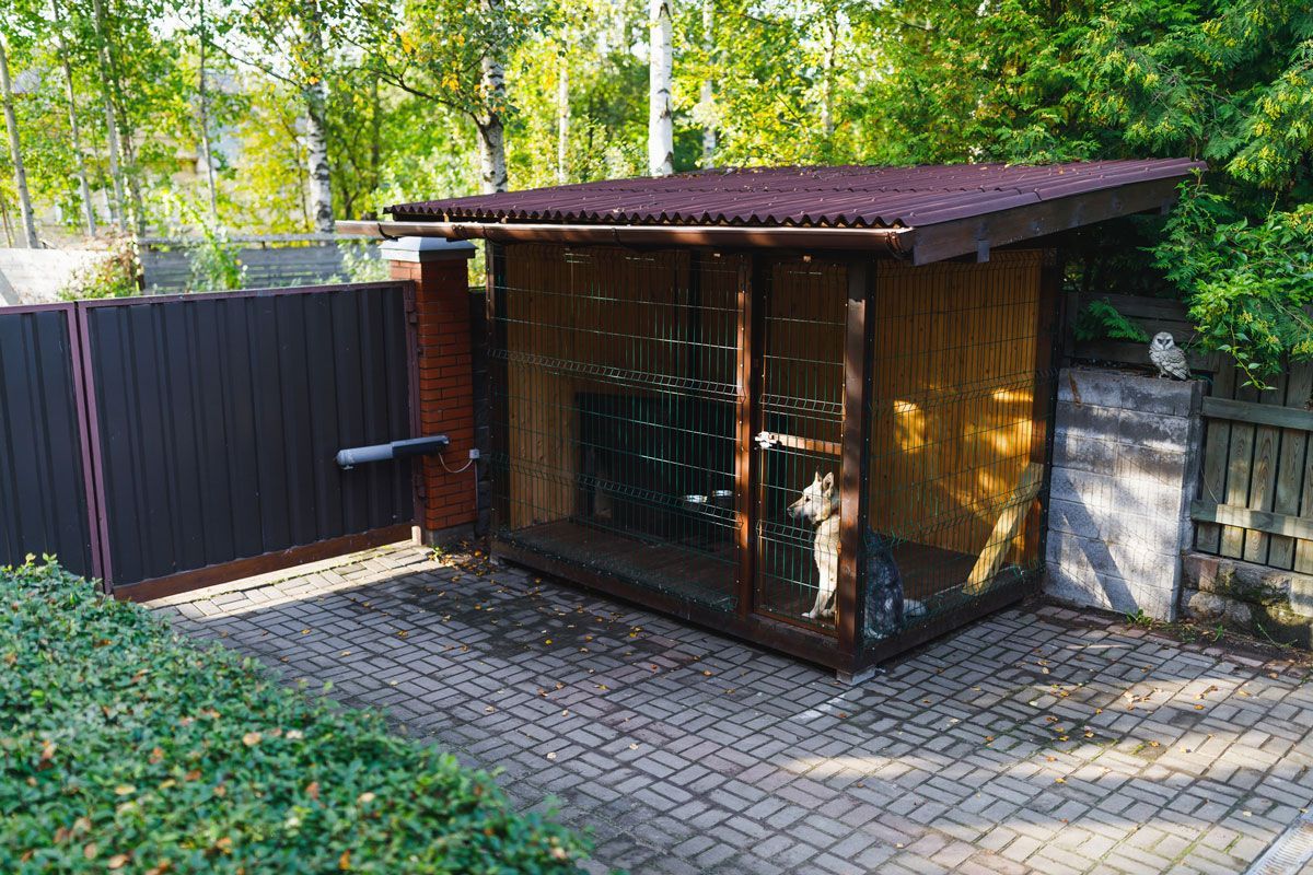 A dog is standing inside of a wooden dog house.