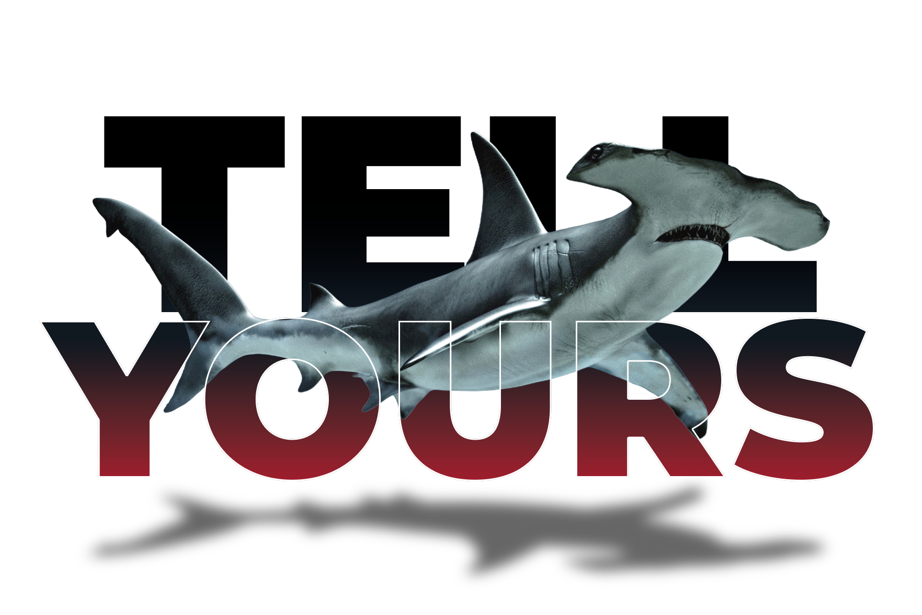 Shark leaping over bold black-and-red “TE” and “YOURS” text on a white background