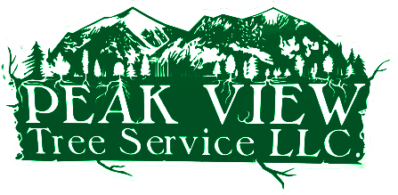 Green logo: 