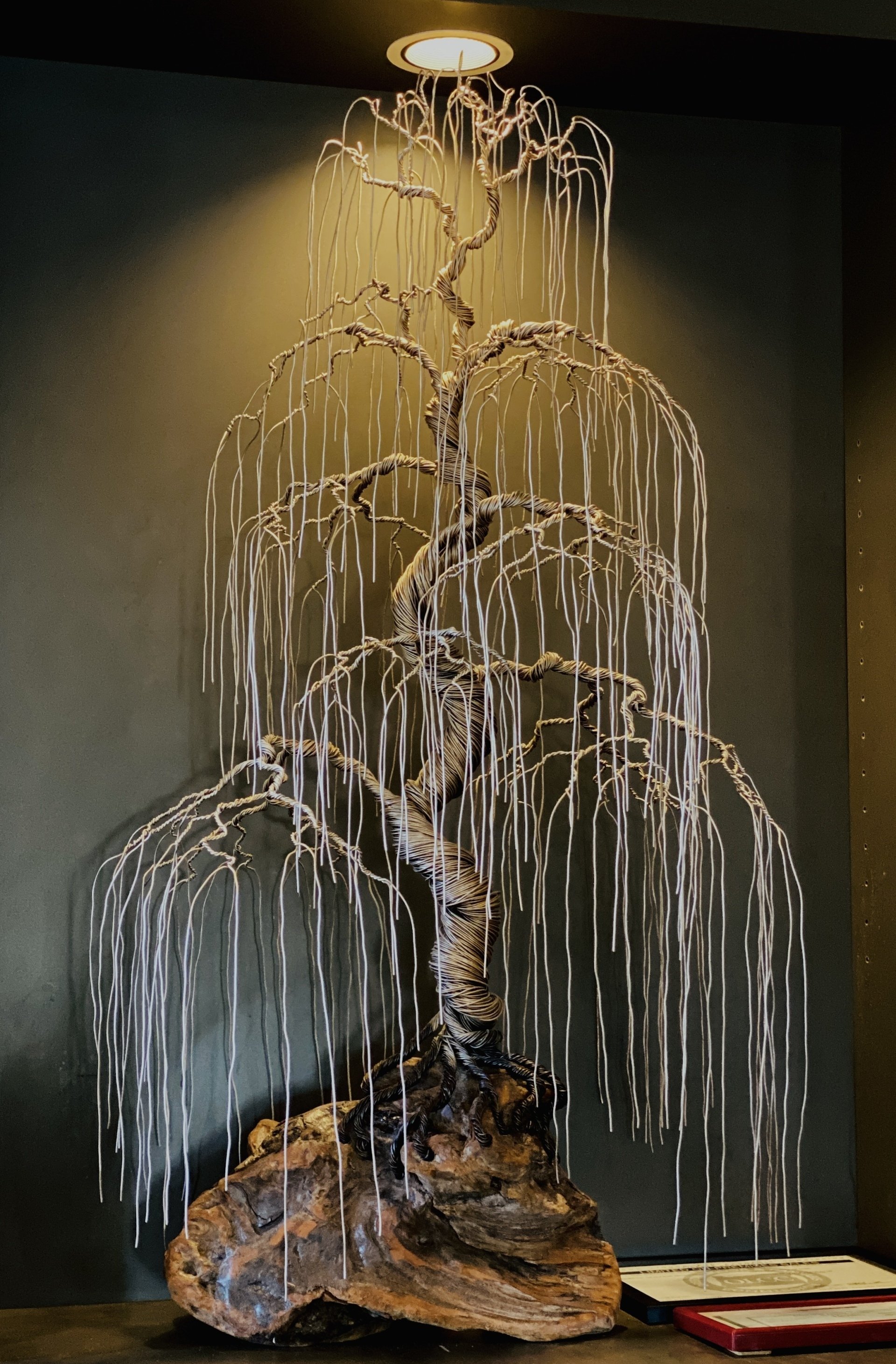 About Us Brookings Rice Bowl Authentic Asian Eats