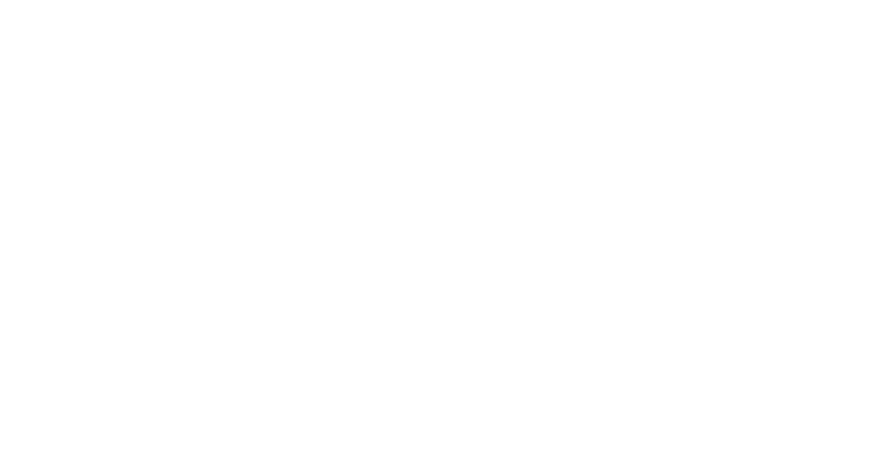 Logotipo de escudo color turquesa con las letras “NF” y hojas estilizadas en el interior.