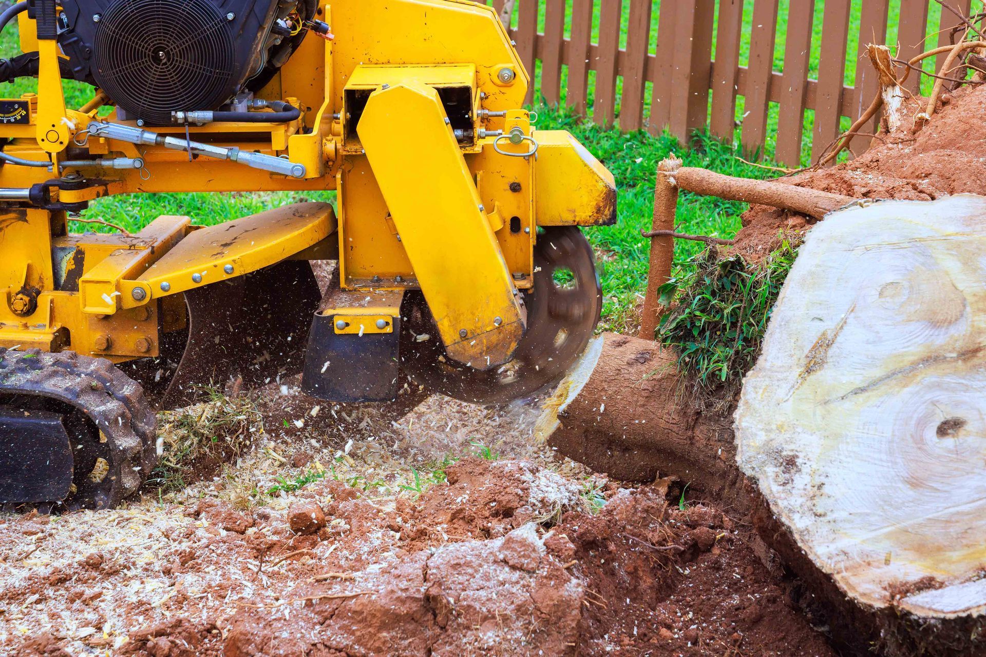 Yellow wood chipper cutting a large tree trunk beside a fence, with chips and debris flying
