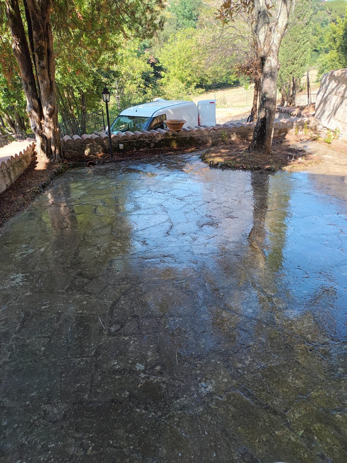 pulizia cortile, prima