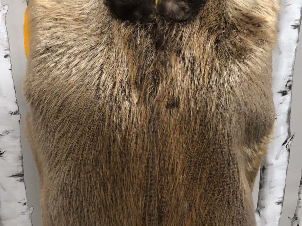 A close up of a fur coat hanging on a wall.