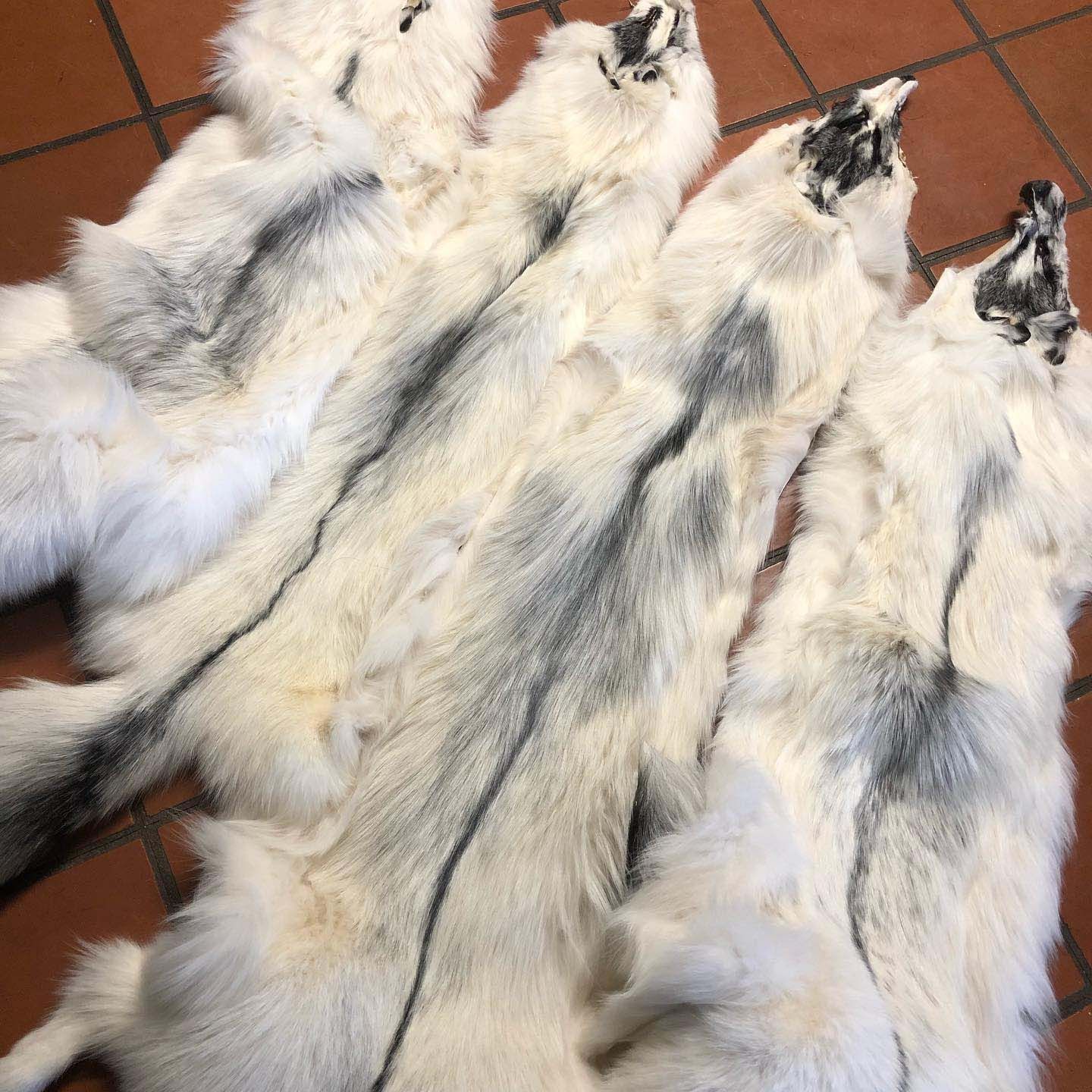 A bunch of furry animals are laying on a tiled floor.