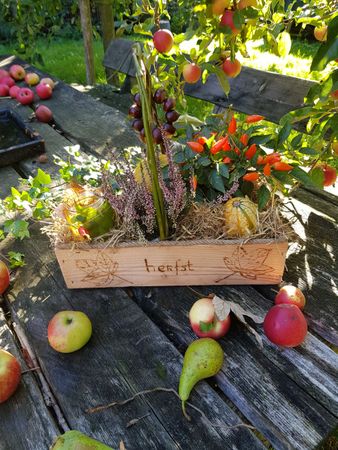 Een houten kistje vol met herfstdecoratie.