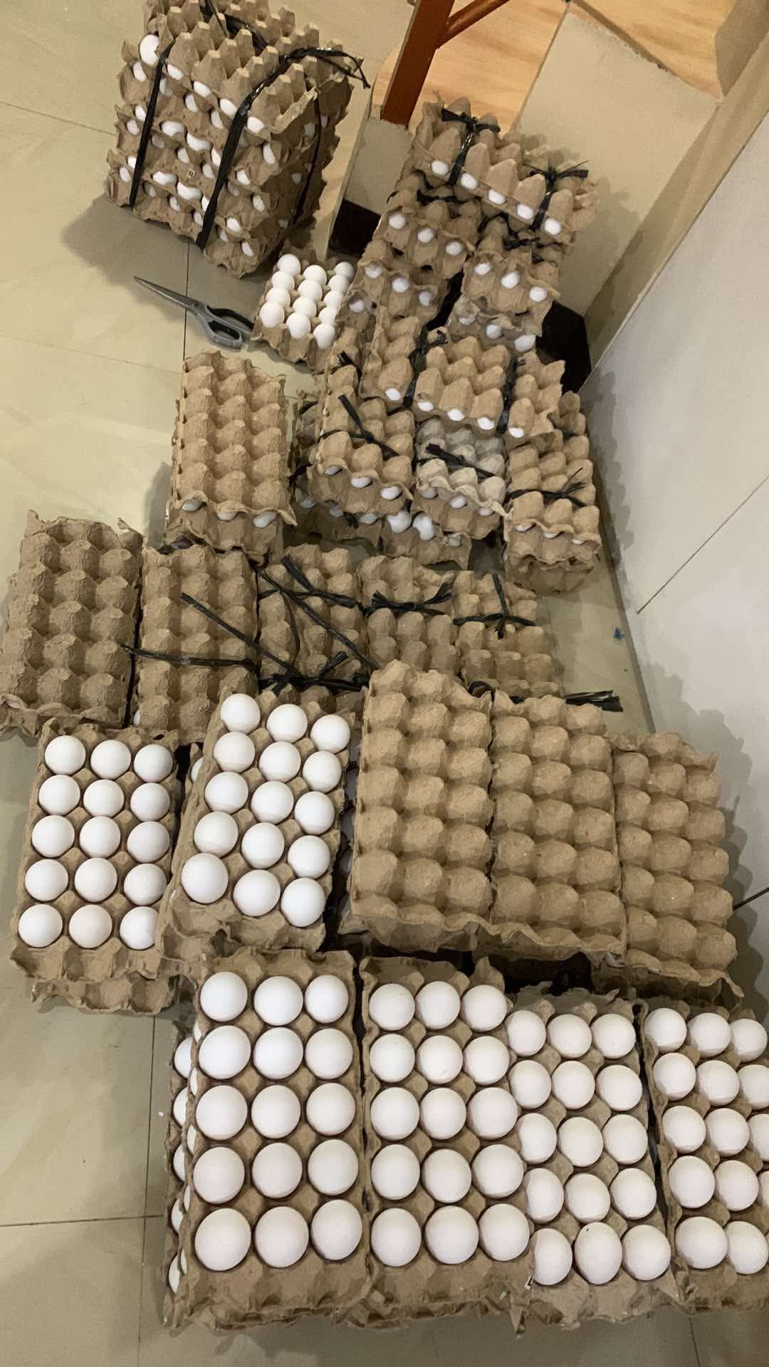 Stacked trays of eggs in a storage room, arranged in rows on the floor. | Redhawk Auto Service - Temecula