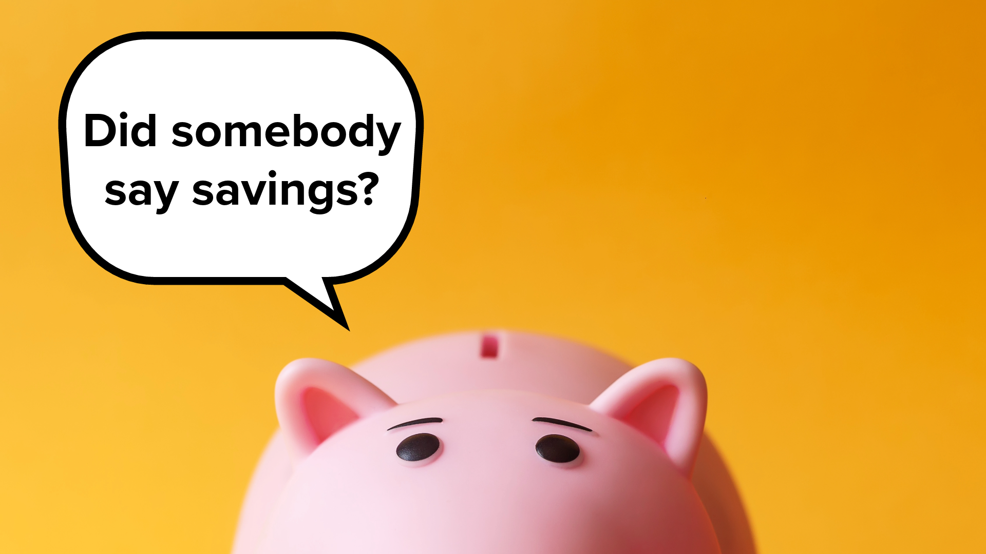piggy bank with speech bubble