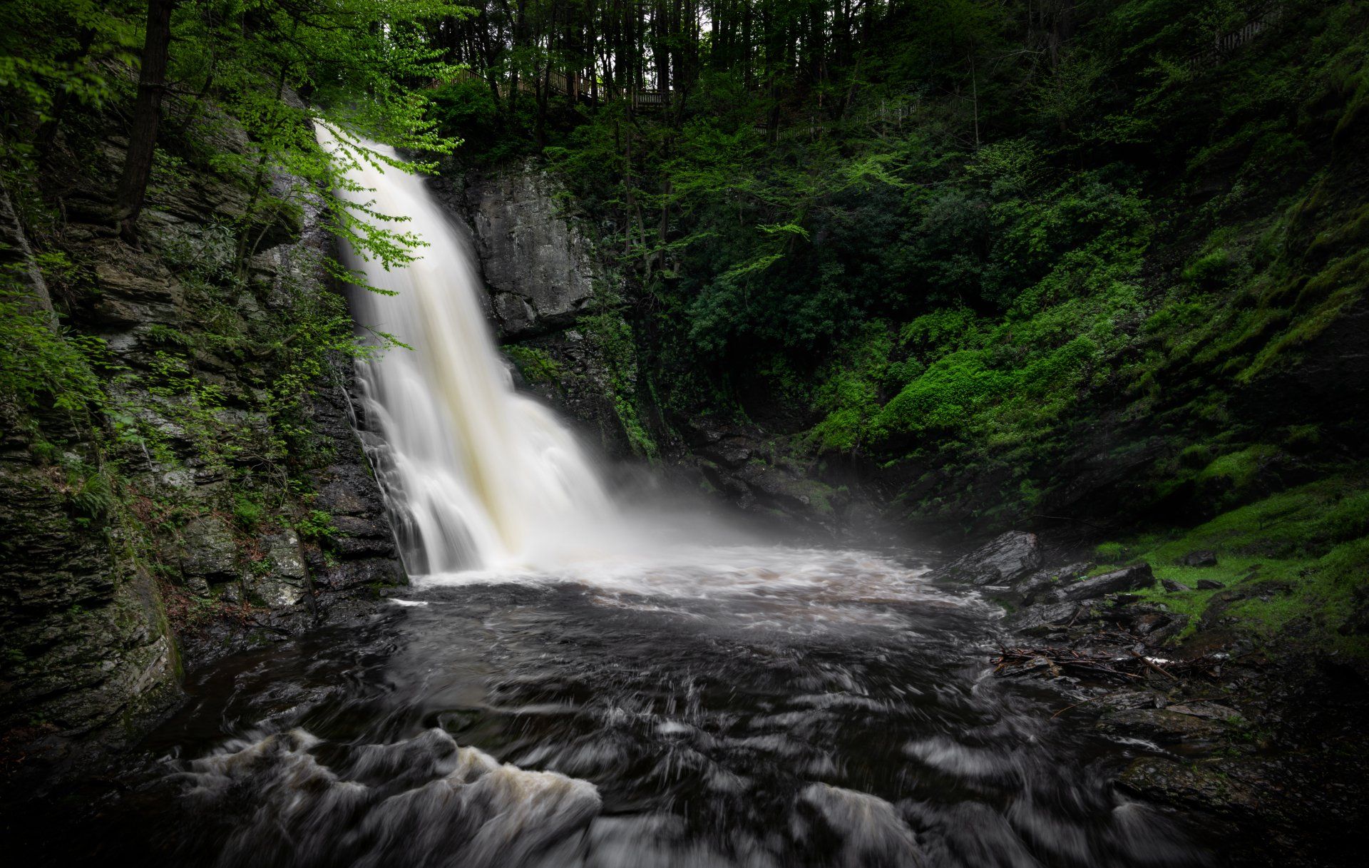 A waterfall is surrounded by trees and rocks in the middle of a forest.