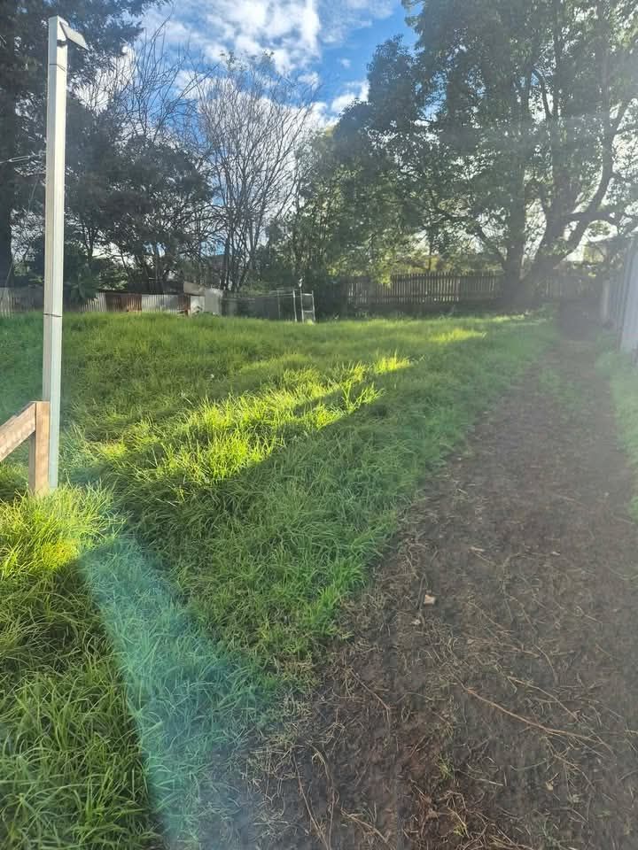 Grassy yard beside a dirt path, with trees and a utility pole in bright sunlight.