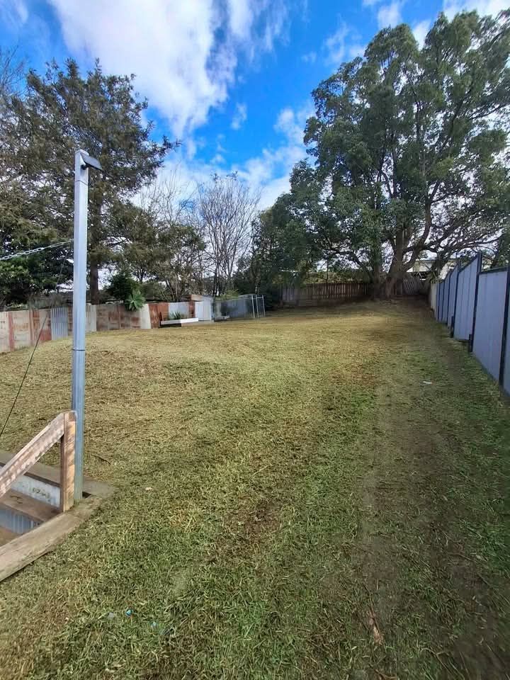 Grassy backyard with tall trees, a fence on the right, and a cloudy blue sky.