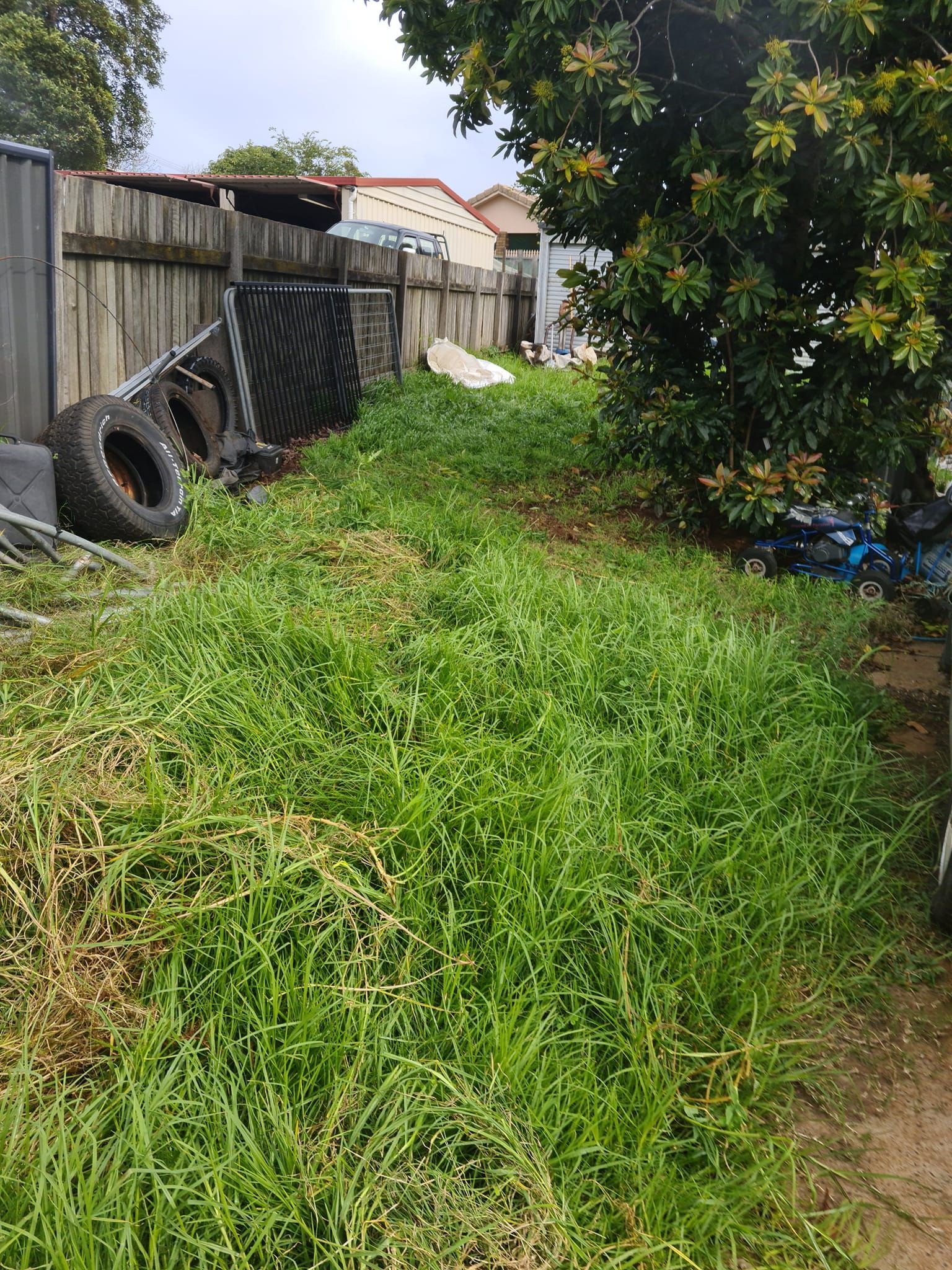 Overgrown Grassy Yard Beside a Wooden Fence, With Stacked Tires and a Tree — Toowoomba Lawn and Yard care In Highfields, QLD