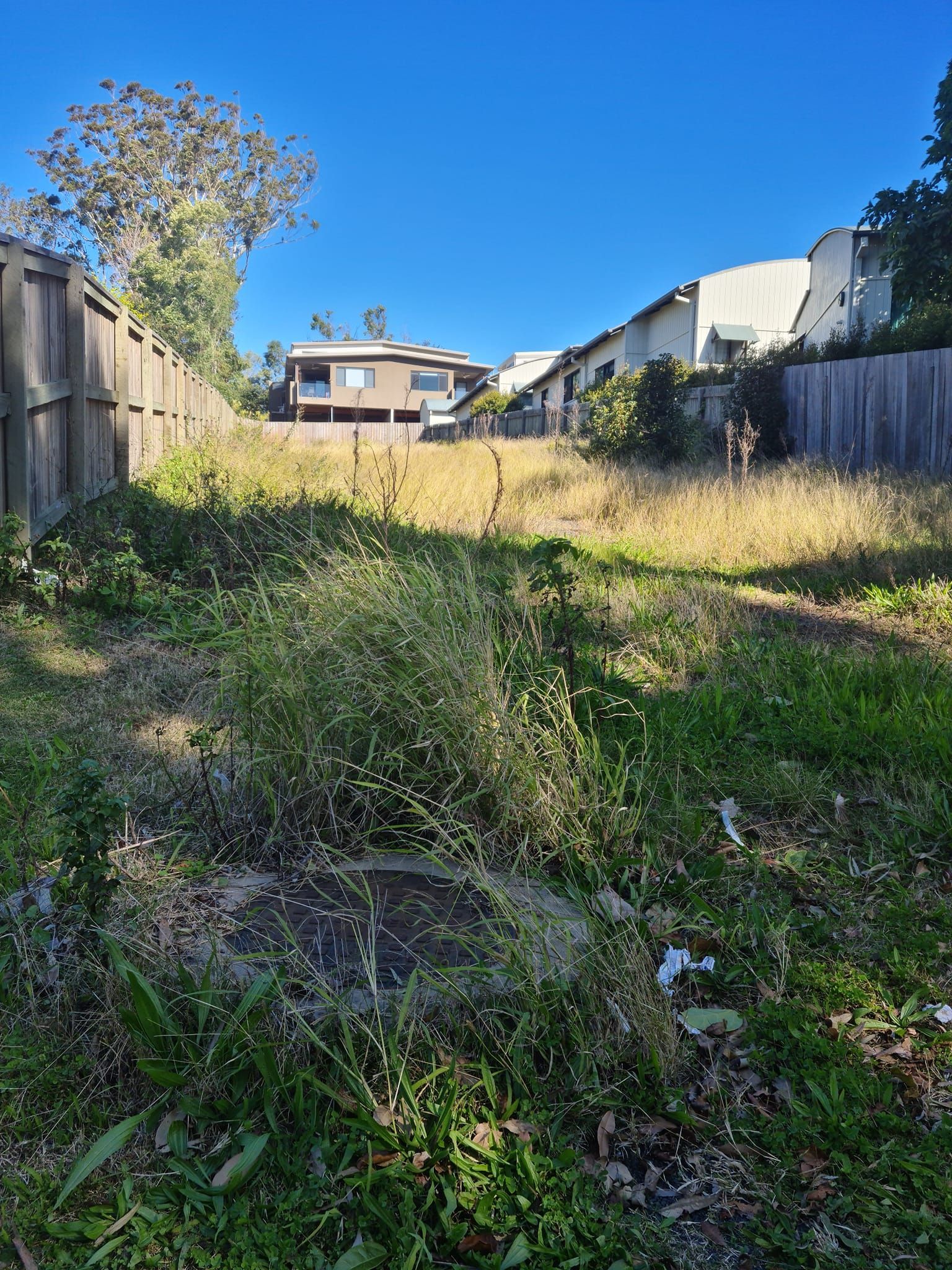 Overgrown Vacant Lot Between Wooden Fences, With Houses — Toowoomba Lawn and Yard care In Westbrook, QLD