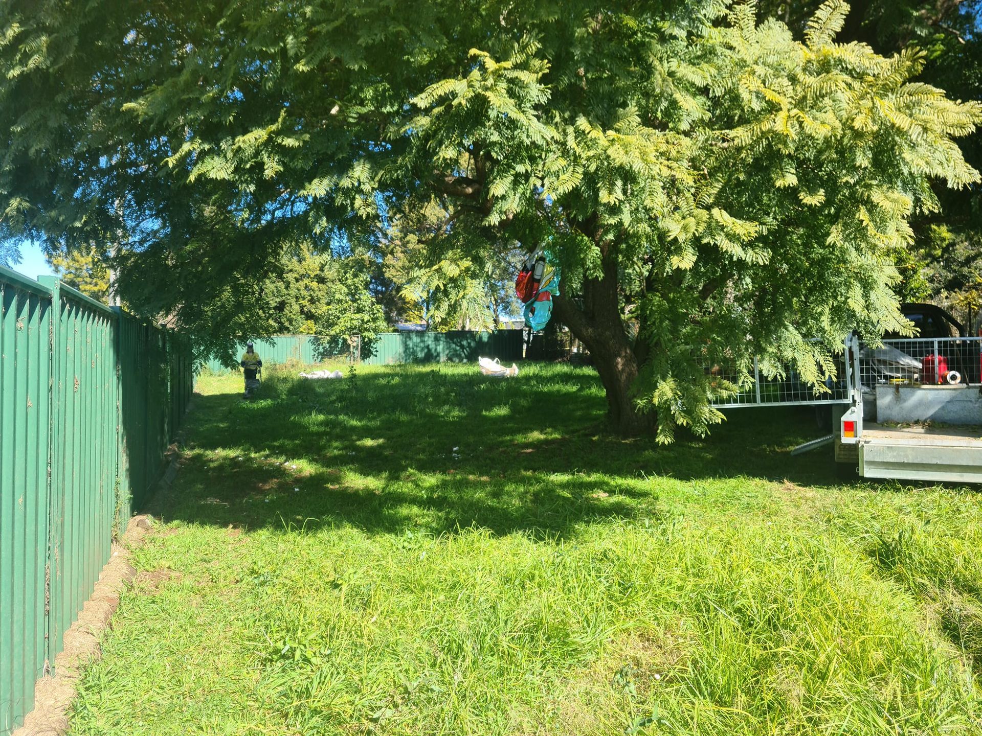 Two Gardeners Trimming A Large Topiary Arch In A Sunny Garden — Toowoomba Lawn and Yard care In Glenvale, QLD