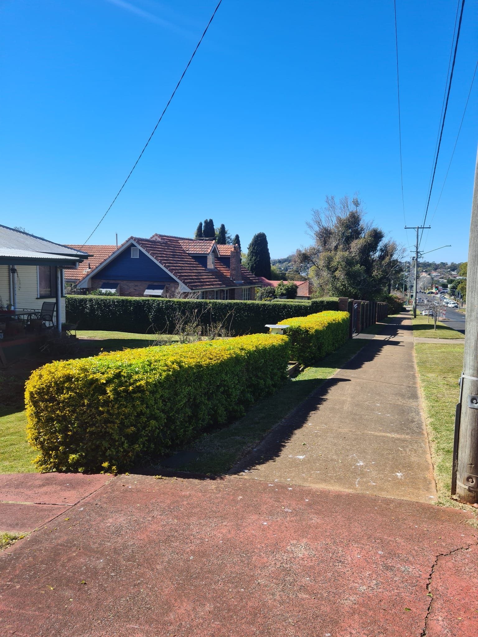 Sunlit Suburban Front Yard With Hedges, Paved Path, and Houses — Toowoomba Lawn and Yard care In Glenvale, QLD