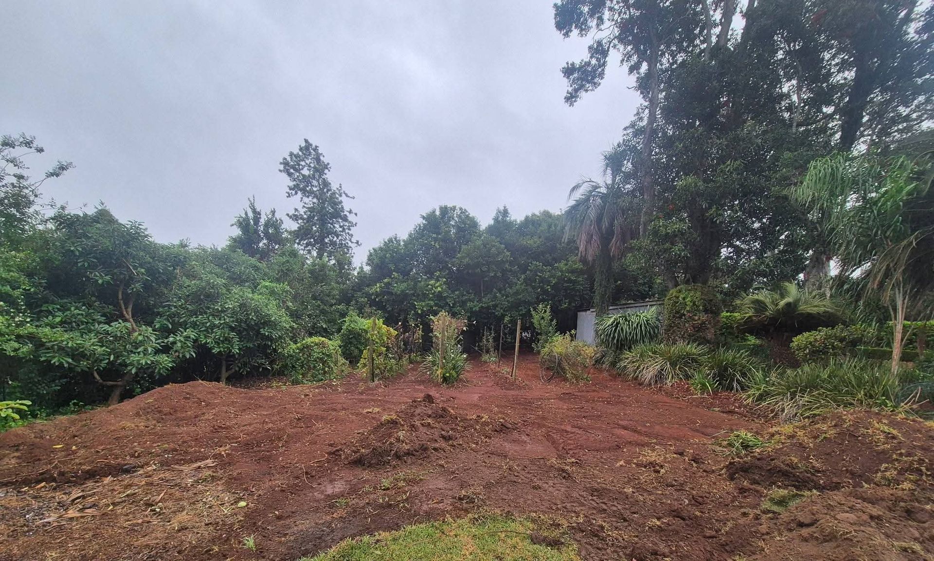 Cleared red soil lot beside dense green trees under a cloudy sky