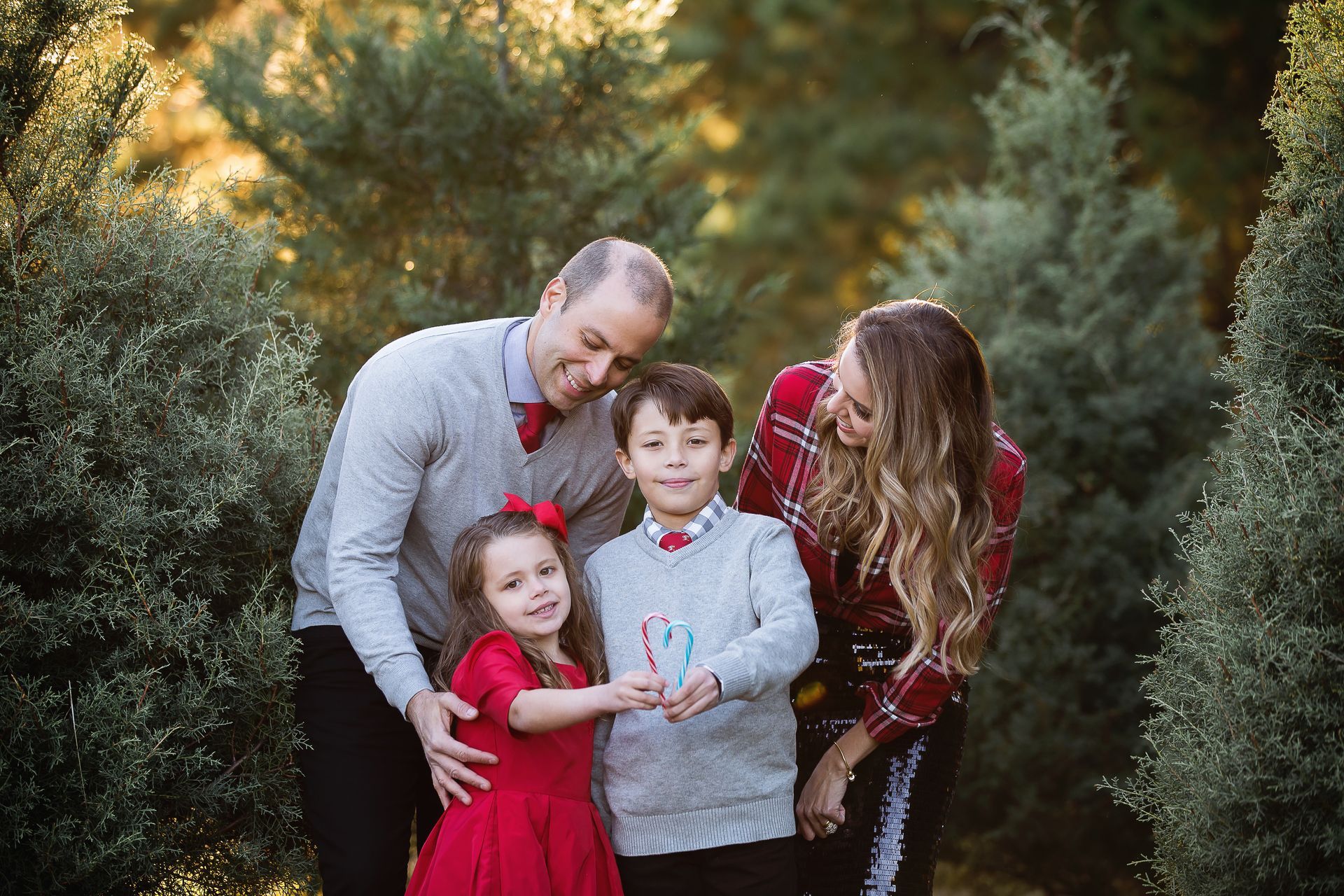 Family Portrait Session at Jordan Lake Christmas Tree Farm