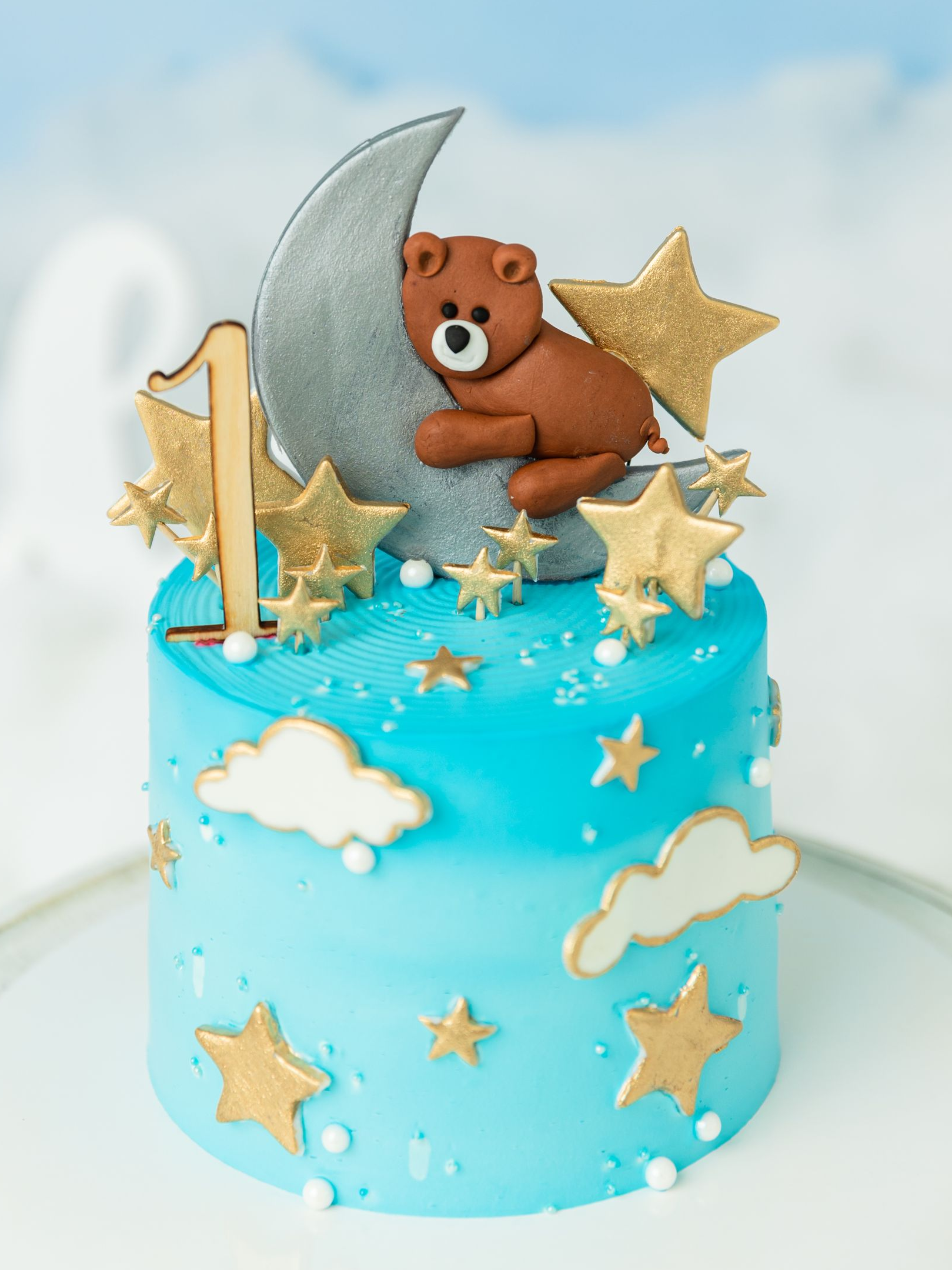 teddy bears cake theme for a cake smash session in studio - Cary NC