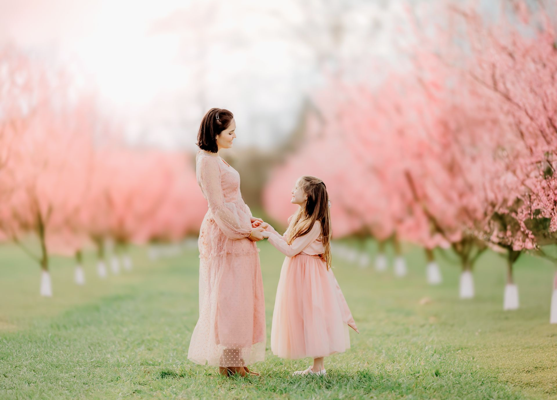 Mother and daughter session in a peach blossom orchard near Raleigh on a sunny spring day