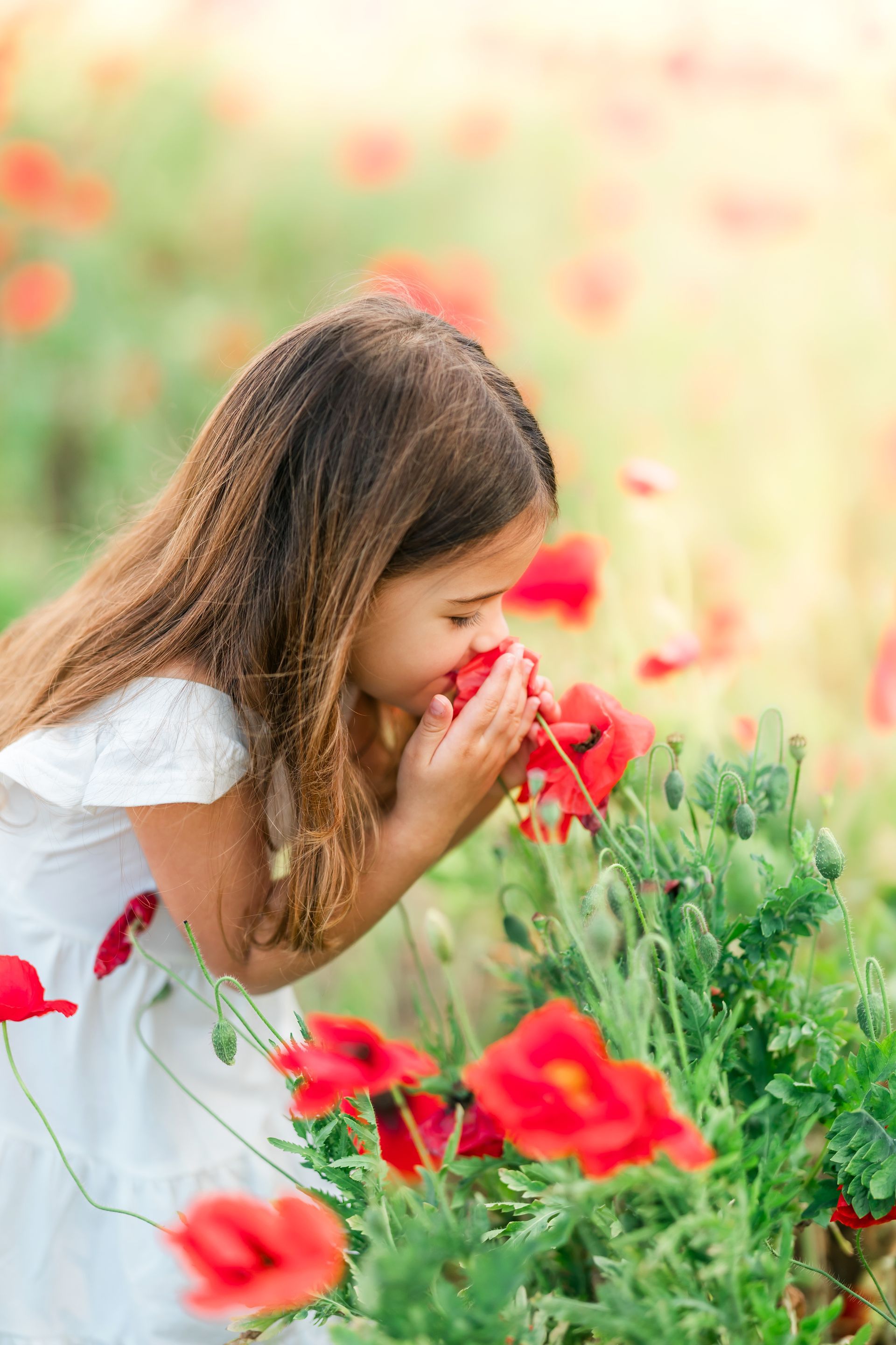 Mother and child portrait in a red poppy field on a sunny spring day in Raleigh, NC