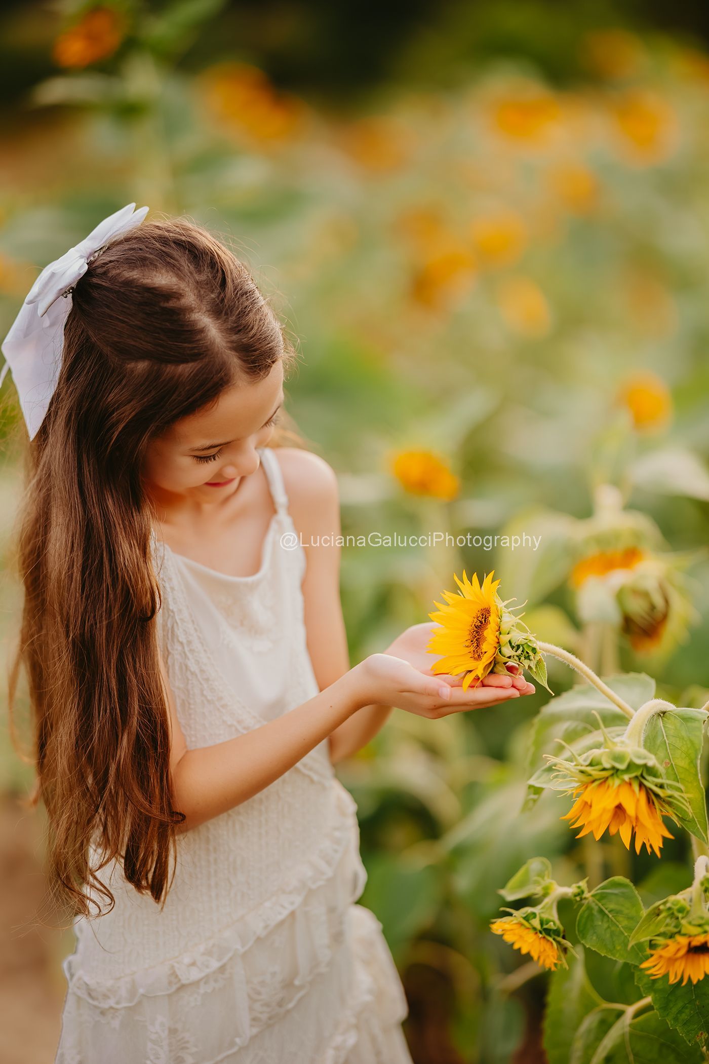 Children enjoying a beautiful sunflower field during a late summer family portrait session.