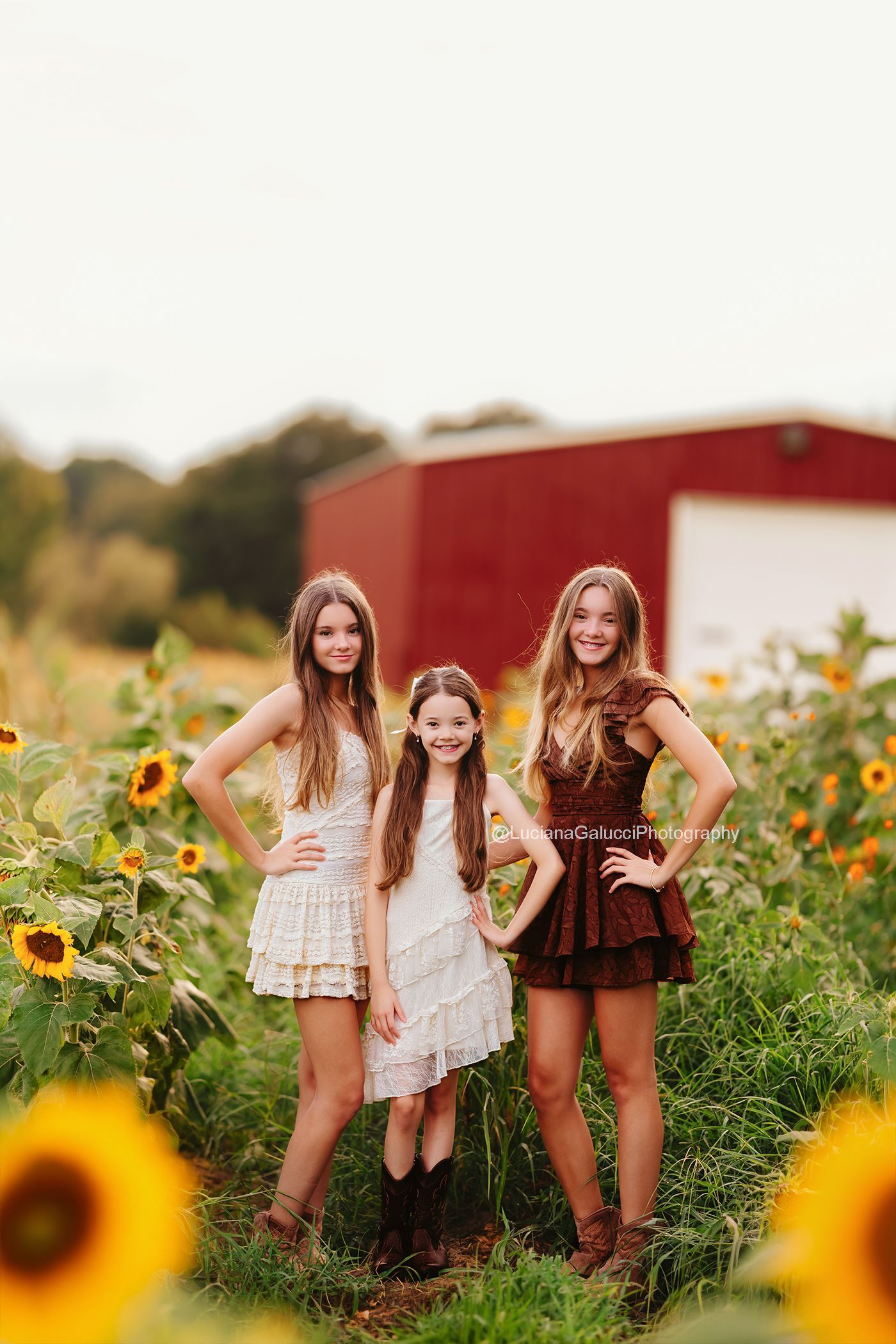 Siblings Posing at sunflowers field in Raleigh, North Carolina.