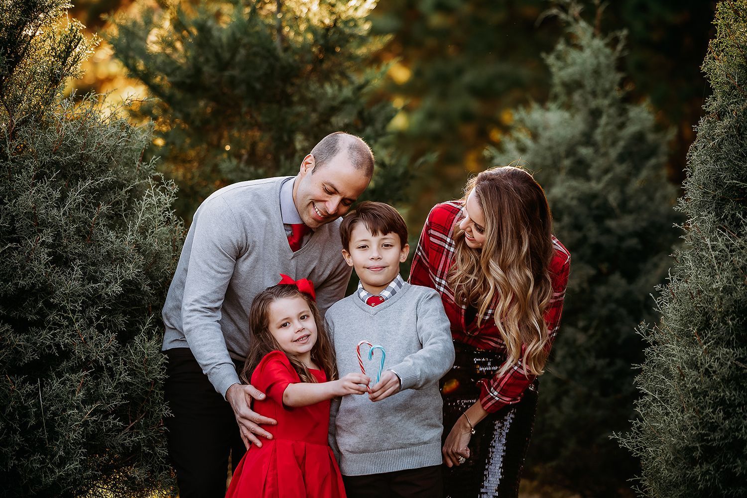 Family enjoying a festive Holiday Mini Session with Luciana Galucci Photography