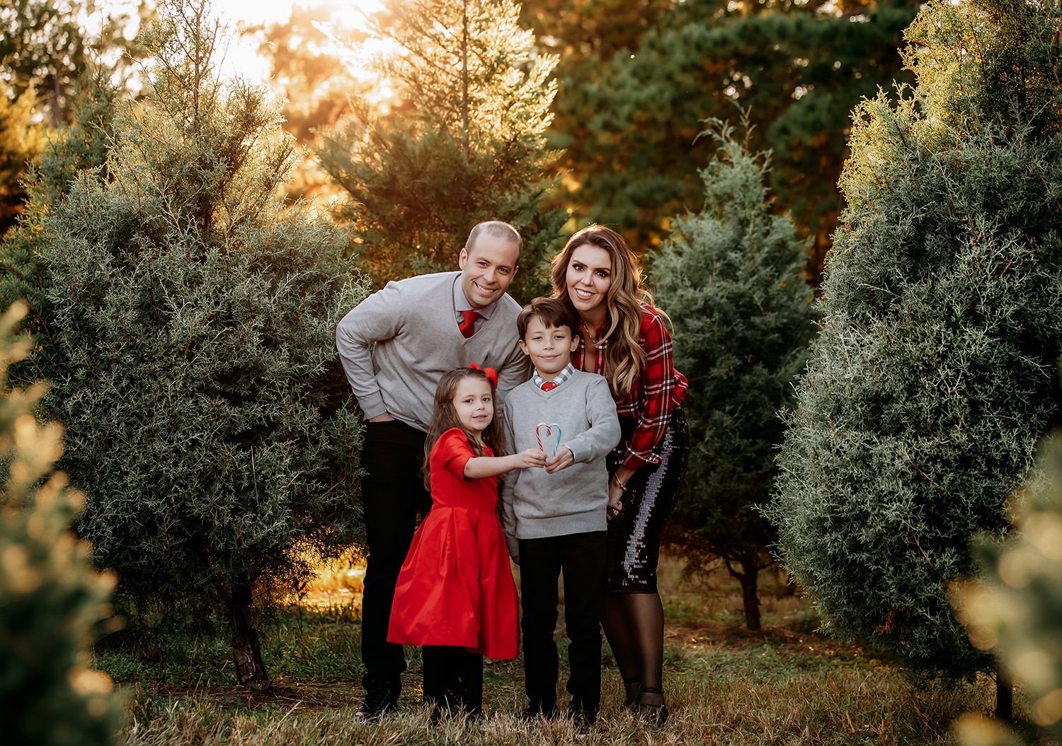 Capture magical holiday moments with family and friends among beautiful evergreen trees and festive decorations Raleigh Christmas Tree Farm Mini Sessions at Jordan Lake Christmas Tree Farm