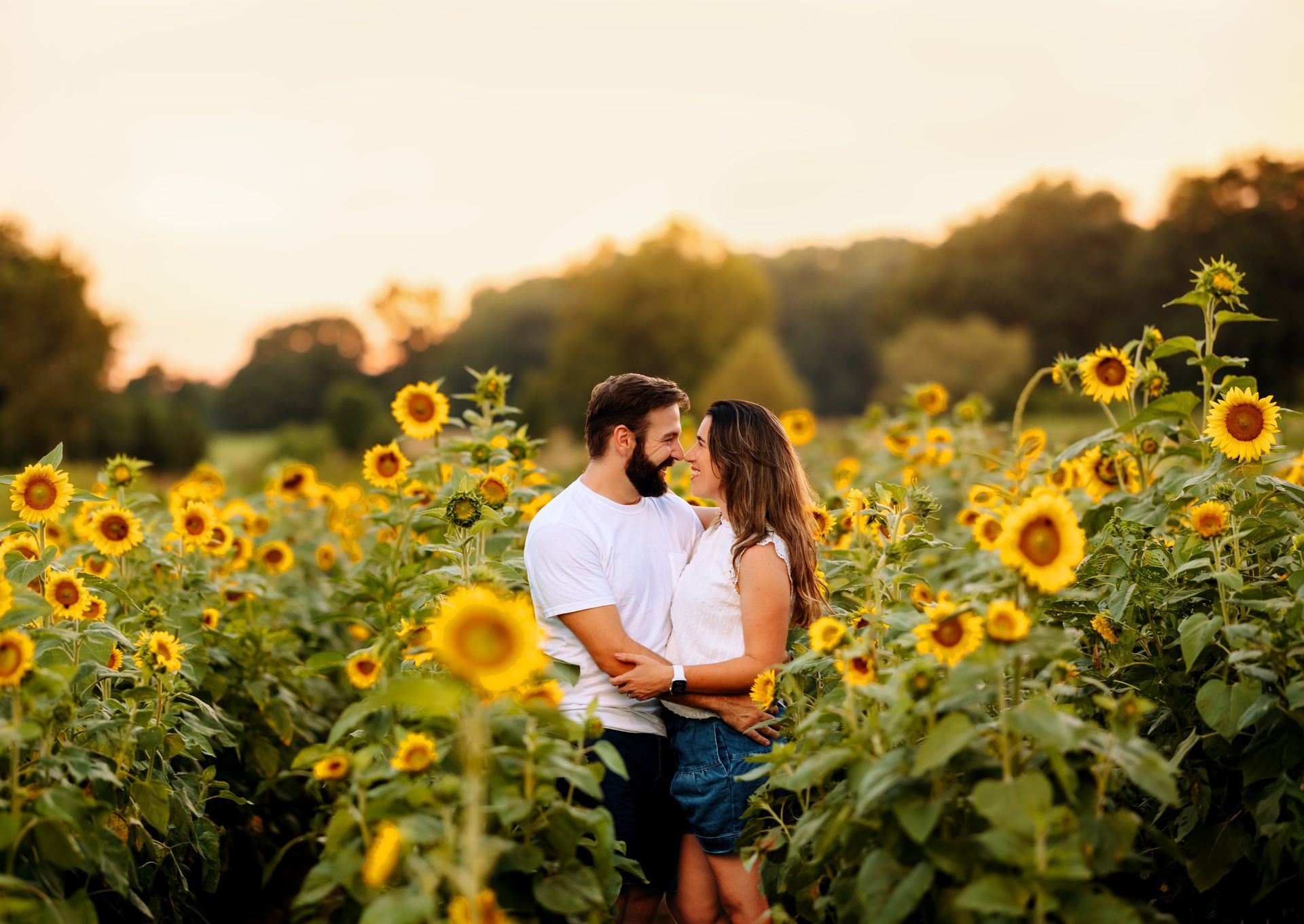 couples at the Sunflowers field in Raleigh during the summer Family Photoshoot